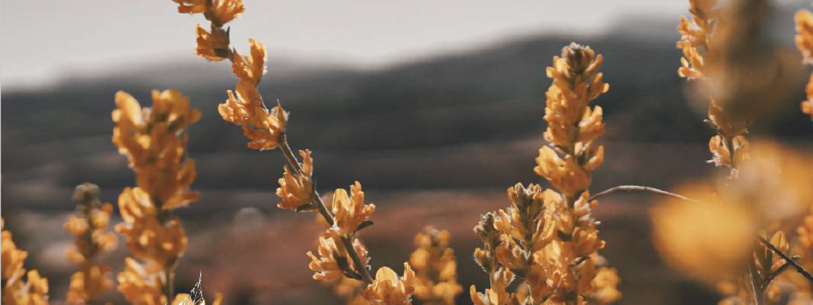 Couverture_programme_spirituel_2026