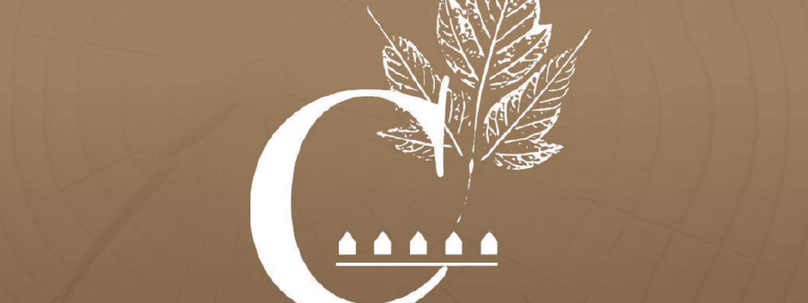 PAGE_COUVETURE_PROGRAMME_2026